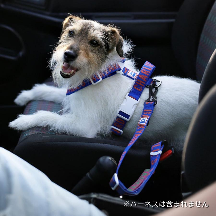 CHARLIE'S BACKYARD チャーリーズバックヤード TRIP SEATBELT シート