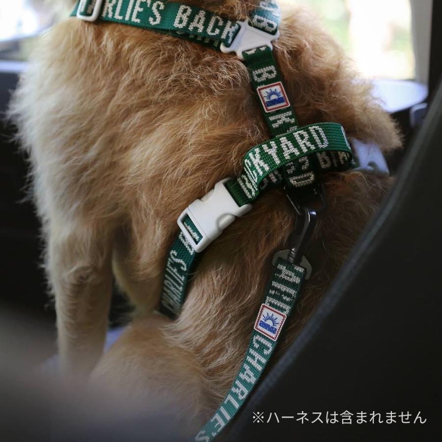 CHARLIE'S BACKYARD チャーリーズバックヤード TRIP SEATBELT シート