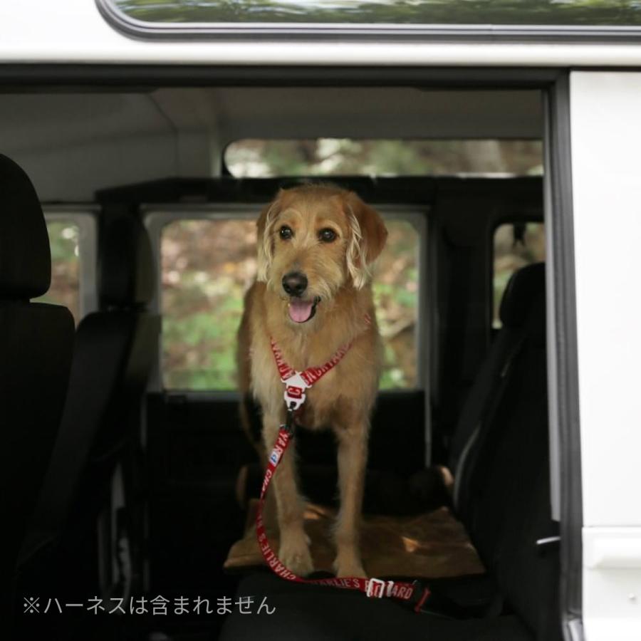 CHARLIE'S BACKYARD チャーリーズバックヤード TRIP SEATBELT シート