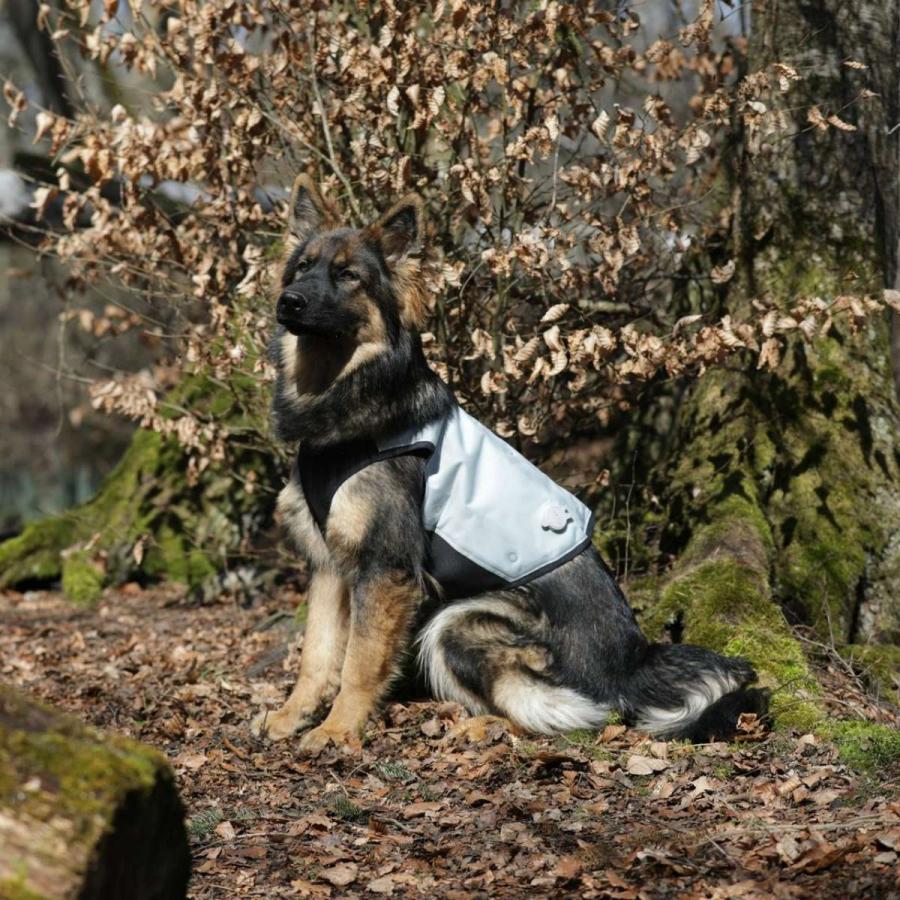 cani.cool クールジャケット Lサイズ クールコート ドッグウェア 犬 cani cool Cani Cool CANI COOL ペット 暑さ対策 サイズ交換対応_12