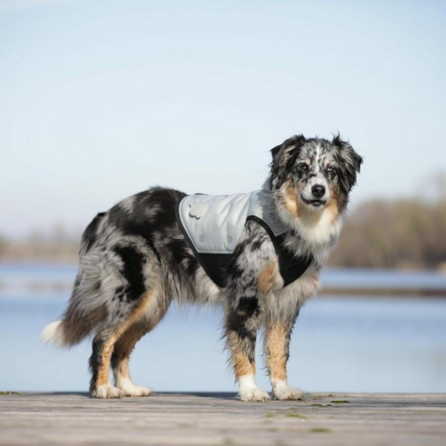 cani.cool クールジャケット Lサイズ クールコート ドッグウェア 犬 cani cool Cani Cool CANI COOL ペット 暑さ対策 サイズ交換対応_16