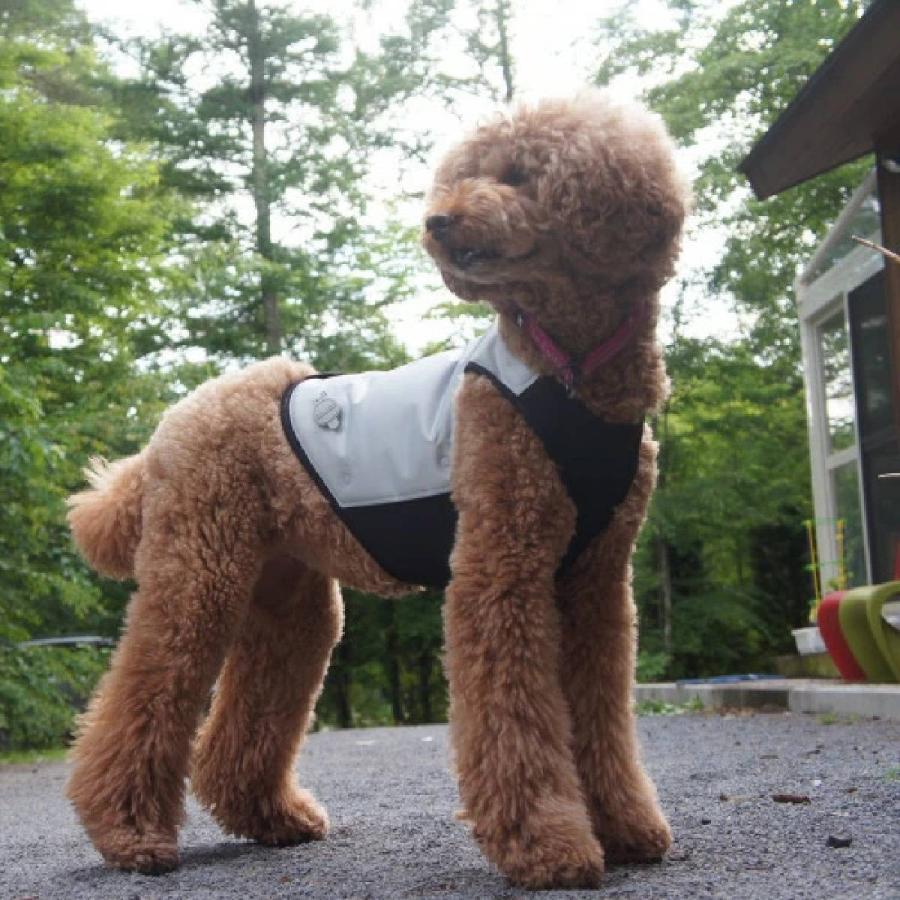 cani.cool クールジャケット Lサイズ クールコート ドッグウェア 犬 cani cool Cani Cool CANI COOL ペット 暑さ対策 サイズ交換対応_18