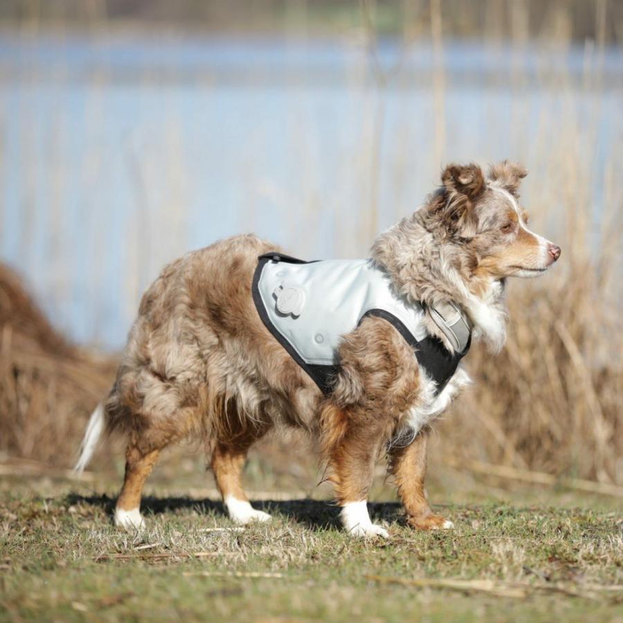 cani.cool クールジャケット Lサイズ クールコート ドッグウェア 犬 cani cool Cani Cool CANI COOL ペット 暑さ対策 サイズ交換対応_8