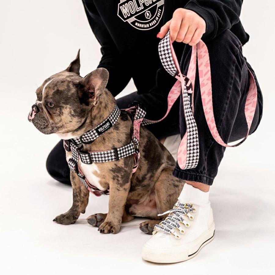 WOLFGANG MAN & BEAST 犬 首輪 ウルフギャング WOLFGANG HoundsPink