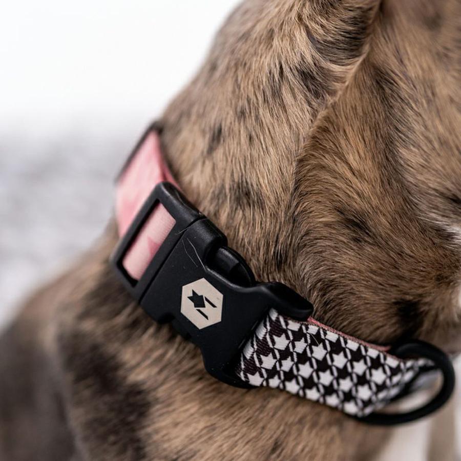 WOLFGANG MAN & BEAST 犬 首輪 ウルフギャング WOLFGANG HoundsPink