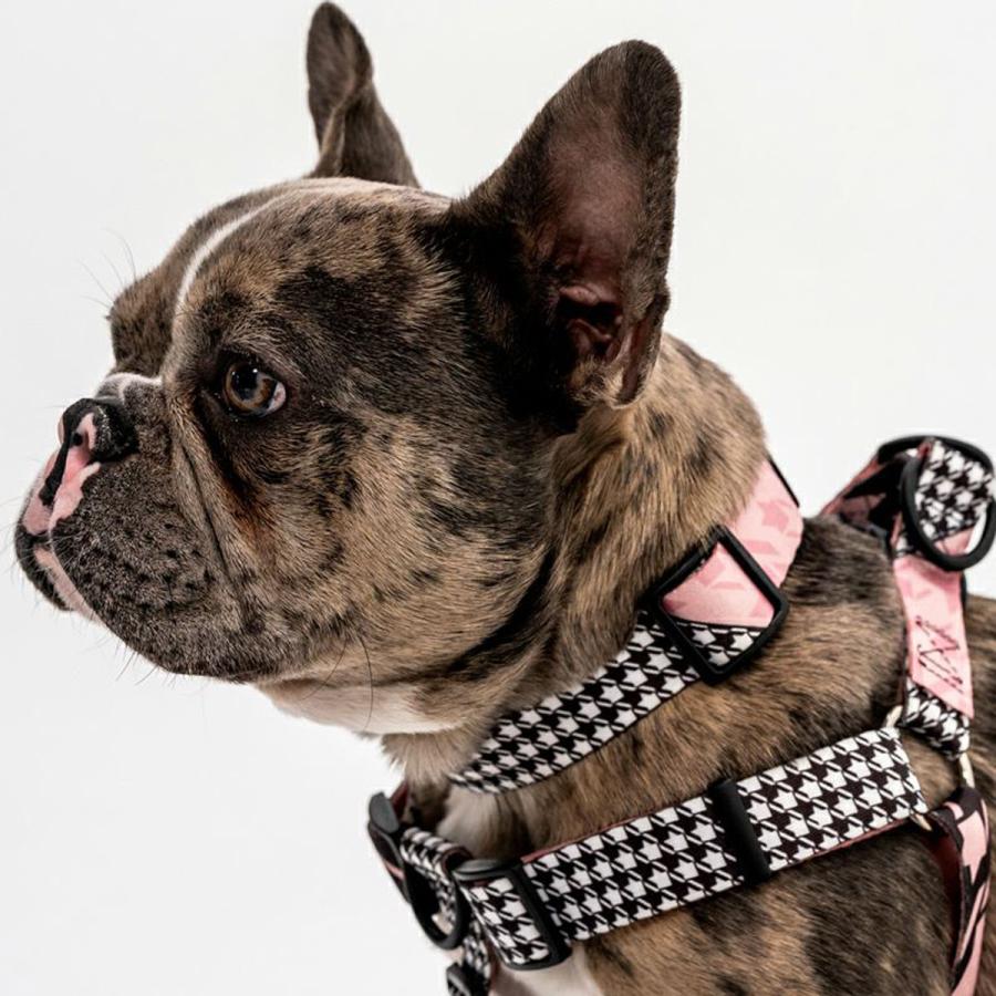 WOLFGANG MAN & BEAST 犬 首輪 ウルフギャング WOLFGANG HoundsPink