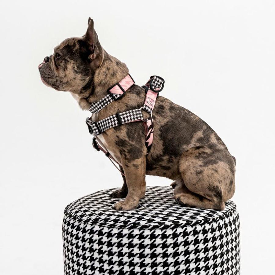 WOLFGANG MAN & BEAST 犬 首輪 ウルフギャング WOLFGANG HoundsPink