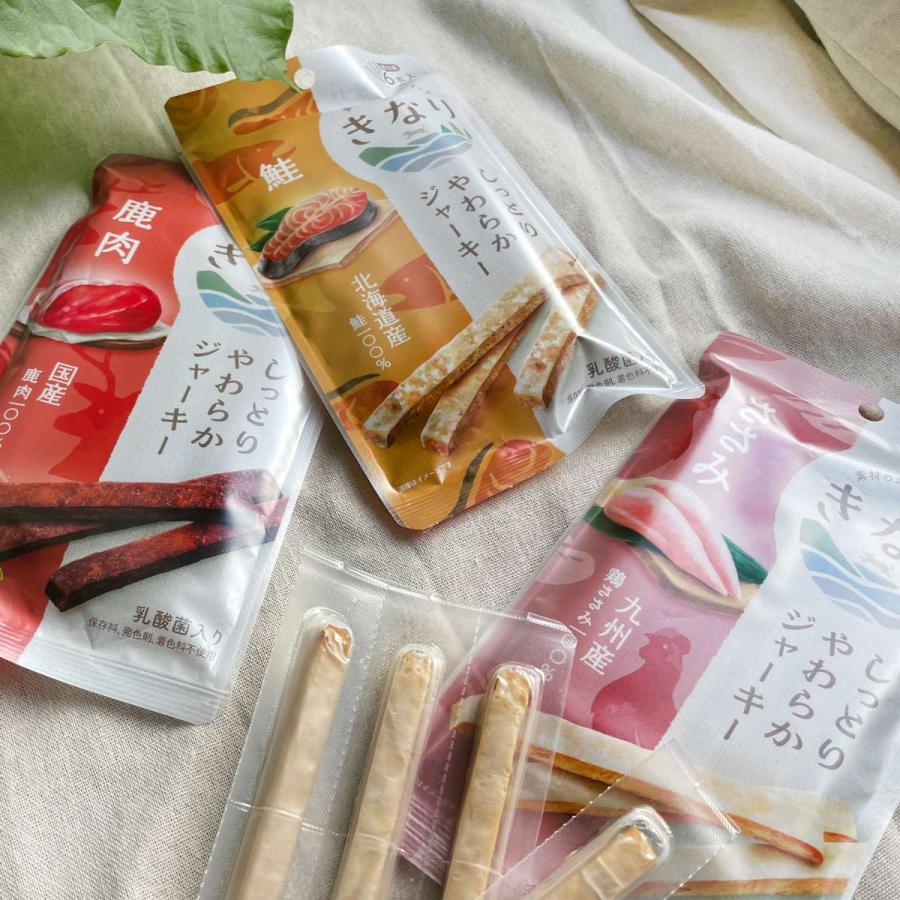 きなり しっとりやわらかジャーキー ささみ 6本入 犬 おやつ 乳酸菌