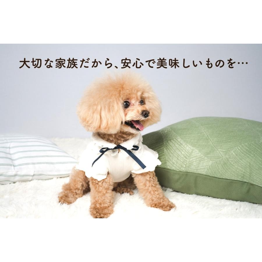 Monsieur Masuno ARPAJON ムッシュマスノ アルパジョン ワンちゃんの
