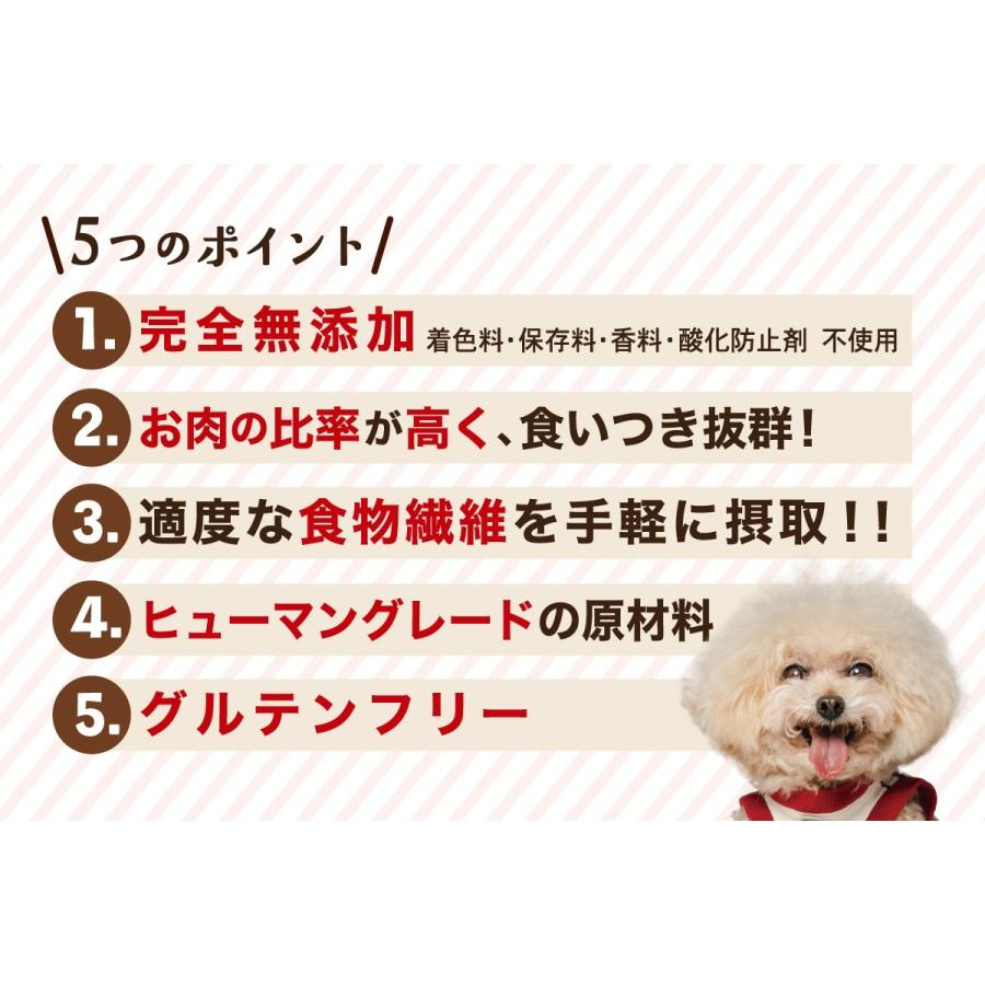 Monsieur Masuno ARPAJON ムッシュマスノ アルパジョン ワンちゃんの