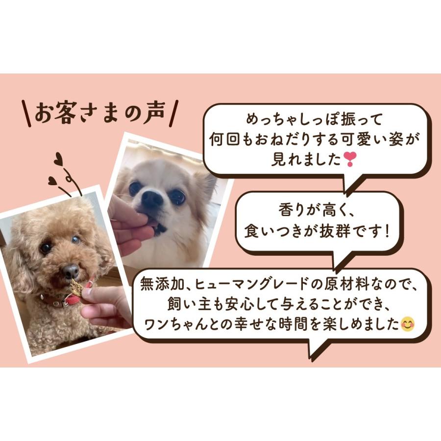 Monsieur Masuno ARPAJON ムッシュマスノ アルパジョン ワンちゃんの