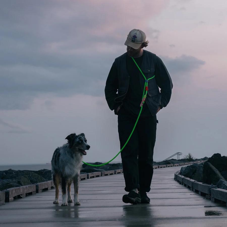 ☆未開封新品未使用☆ zee.dog ハンズフリーリーシュ GLO zeedog zee.dog ジードッグ HANDS-FREE LEASH グロウ ハンズフリーリーシュ