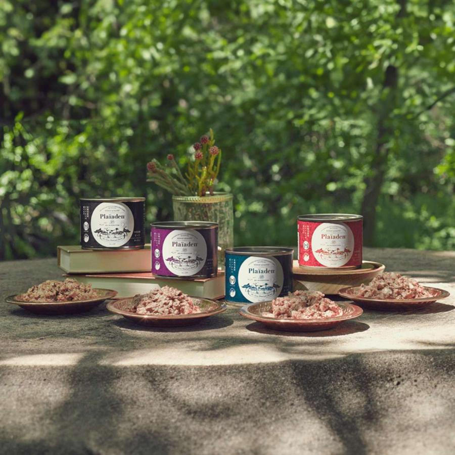 Plaiaden プレイアーデン 100％有機 チキン 200g for Dog ウェット