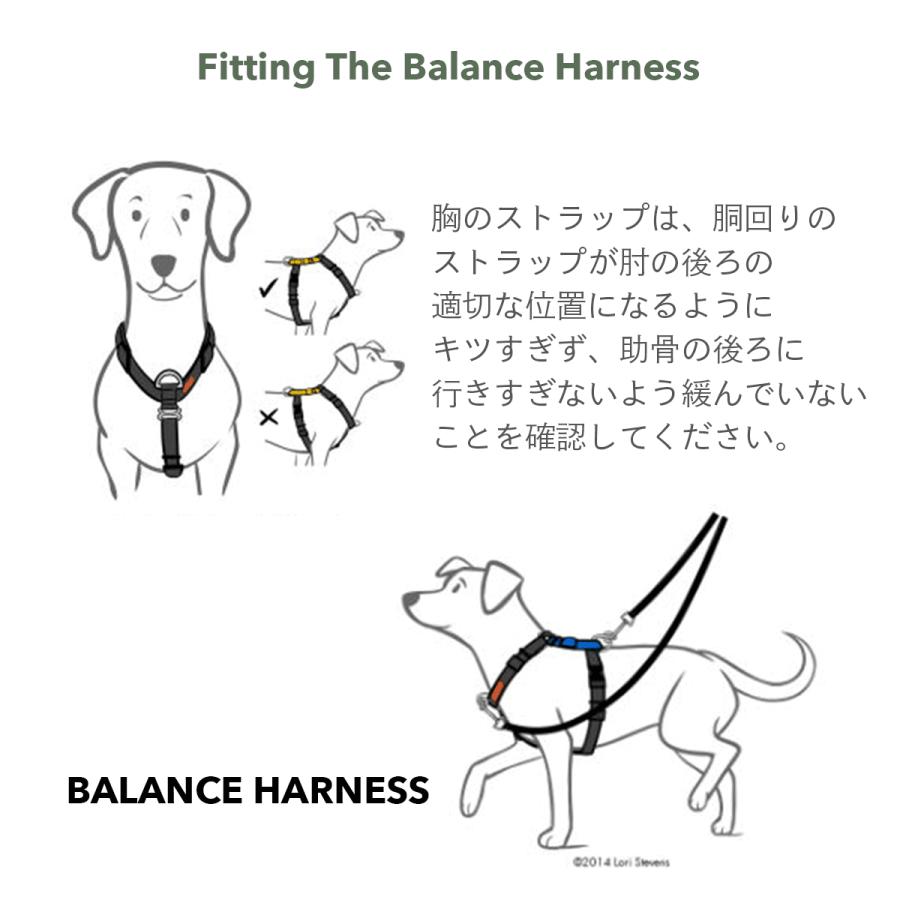 ハーネス 犬 バランスハーネス XS-Lサイズ 全9色 Blue-9 正規輸入品