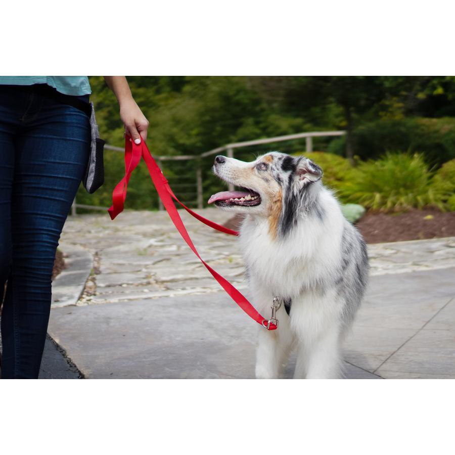 リード 犬 マルチファンクションリーシュ S/Mサイズ 全7色 Blue