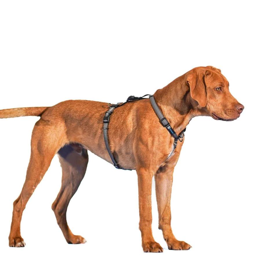 ハーネス 犬 リフレクティブバランスハーネス XS-Lサイズ 全3色 Blue-9