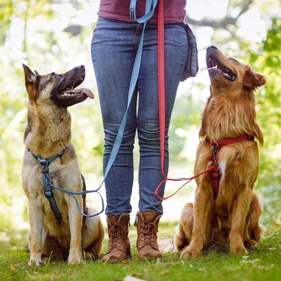 ハーネス 犬 リフレクティブバランスハーネス XS-Lサイズ 全3色 Blue-9