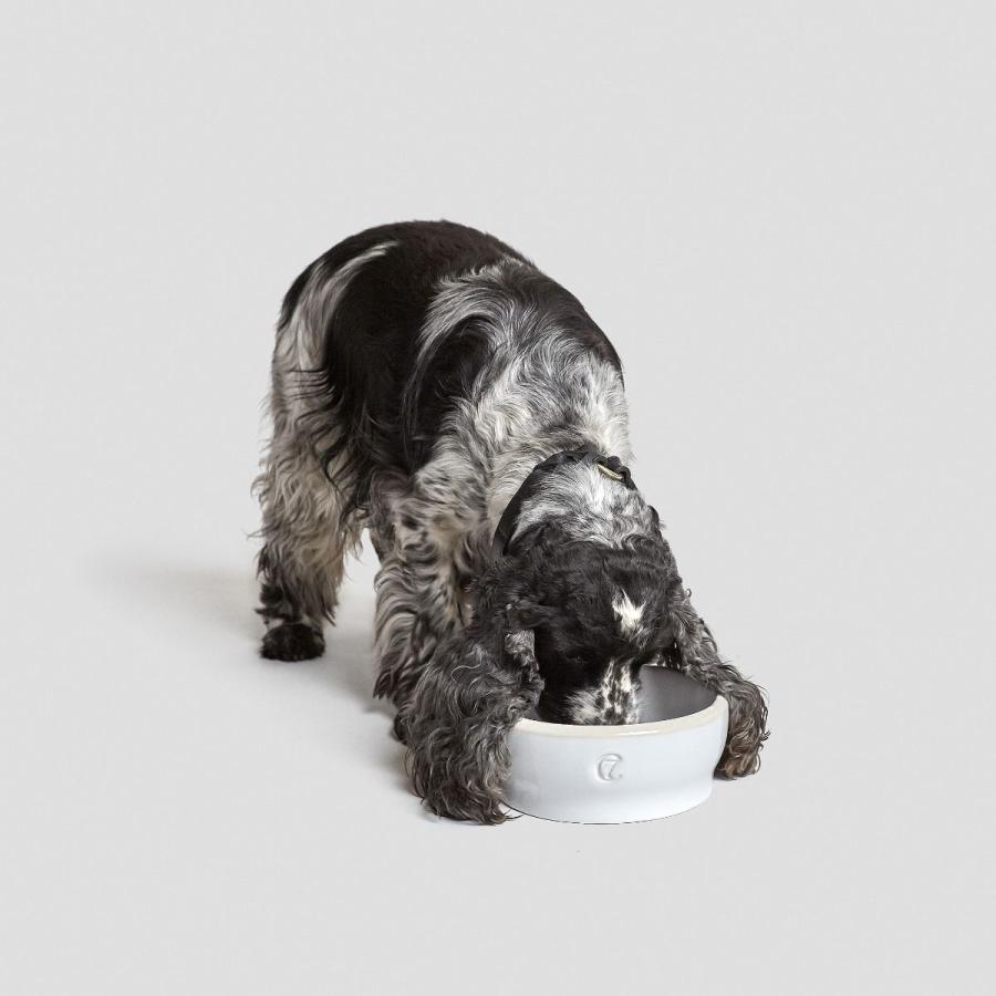 フードボール Cloud7 クラウド7 ボウル・ジェミー Sサイズ（犬用食器
