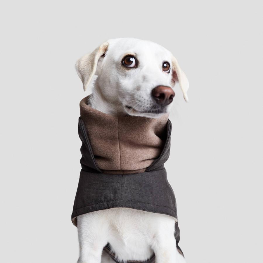 Cloud7 クラウド7 Brooklyn Graphite size2 犬用コート Cloud7 クラウド7 Brooklyn Graphite ブルックリン防水