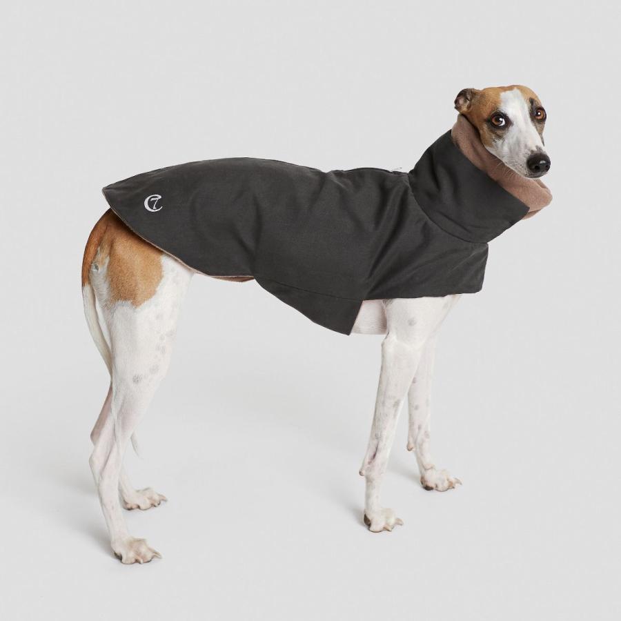 犬用コート Cloud7 クラウド7 Brooklyn Graphite ブルックリン防水