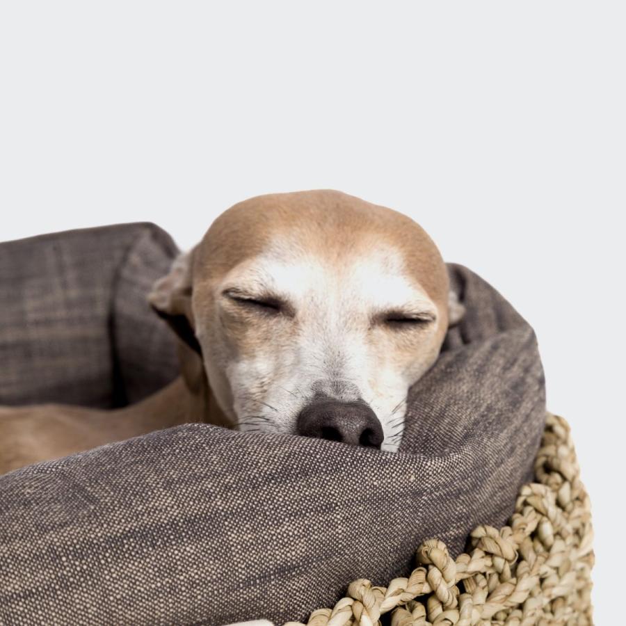 ドッグバスケット レイジーメイプル Sサイズ カゴ バスケット Cloud7 クラウド7 ペットベッド Dog Basket Lazy
