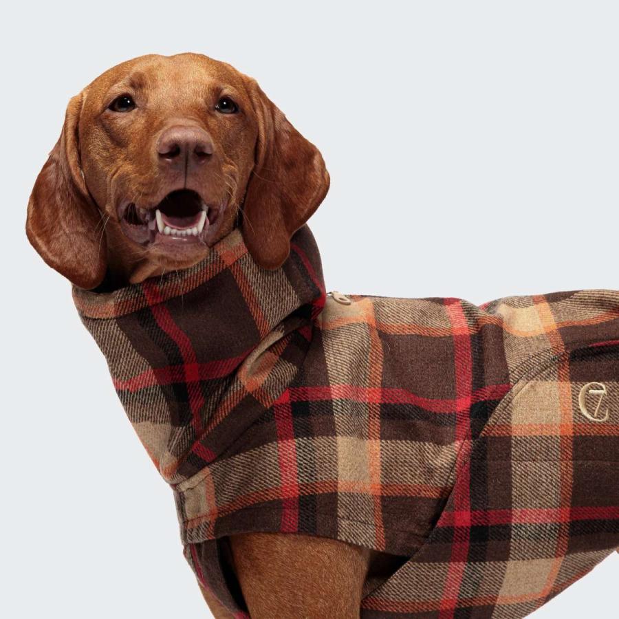 Cloud7 ドッグコート　グラスゴー 犬用コート Cloud7 クラウド7 グラスゴー オレンジ SIZE3/4/5 Dog Coat