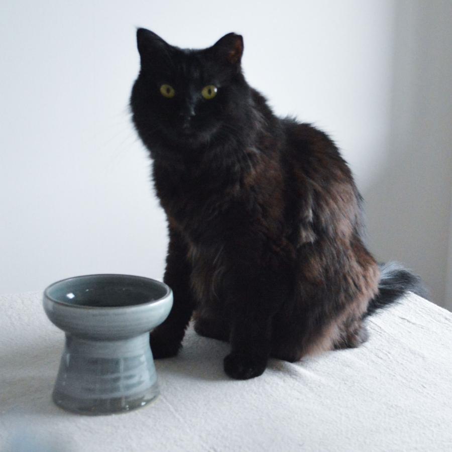 ホテル　ル・ブリストルパリ　看板猫のフェーブ 2点　陶器　ねこ ル・ブリストル・パリのすべてを忘れさせてくれるクリスマス