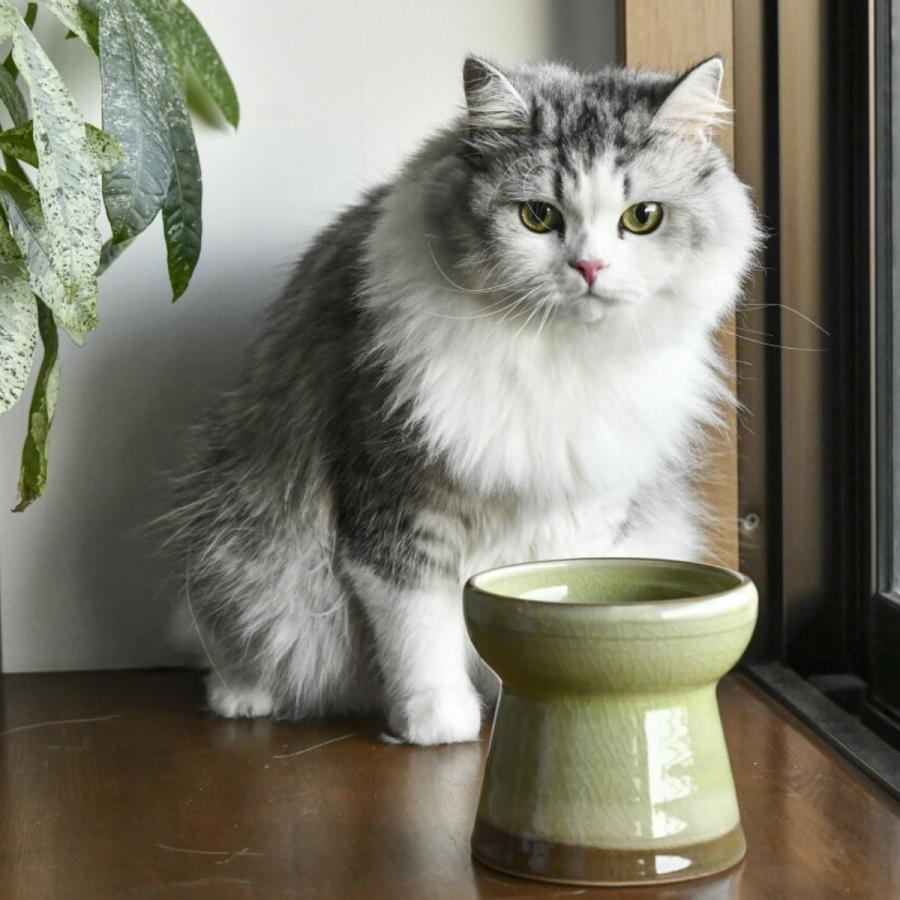 CAThreee キャットスリー Tsunaguうつわ（フードボウル） 益子焼ライト