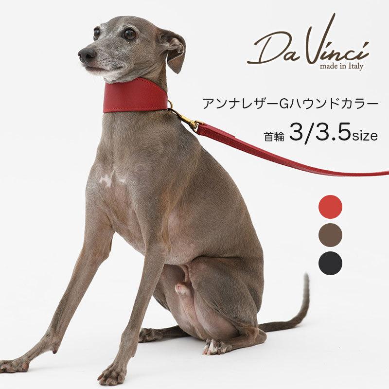 Da Vinci ダヴィンチ アンナ レザー グレーハウンド カラー サイズ3
