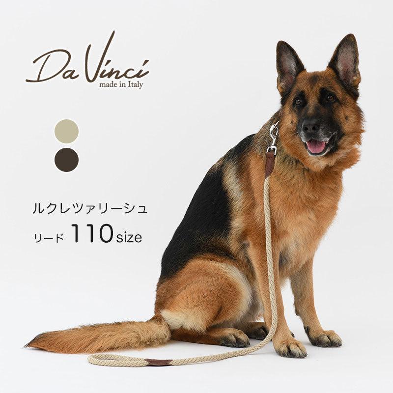 Da Vinci ダヴィンチ ルクレツァリーシュ 110サイズ ダ ヴィンチ リード 犬 Dav0 014 07 Starry 通販 Yahoo ショッピング