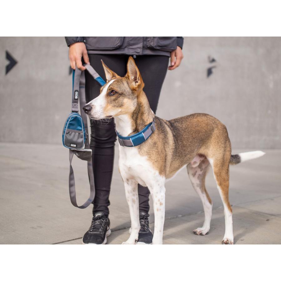 正規代理店商品】カラー アーバンエクスプローラーカラー XS・S・M・L/XLサイズ ドッグコペンハーゲン (DOG Copenhagen) ネコポス便対応 :dog7-004-200923:STARRY - 通販 - Yahoo!ショッピング 正規代理店商品】カラー アーバンエクスプローラーカラー XS・S・M・L/XLサイズ ドッグコペンハーゲン (DOG Copenhagen) ネコポス便対応 :dog7-004-200923:STARRY - 通販 - Yahoo!ショッピング