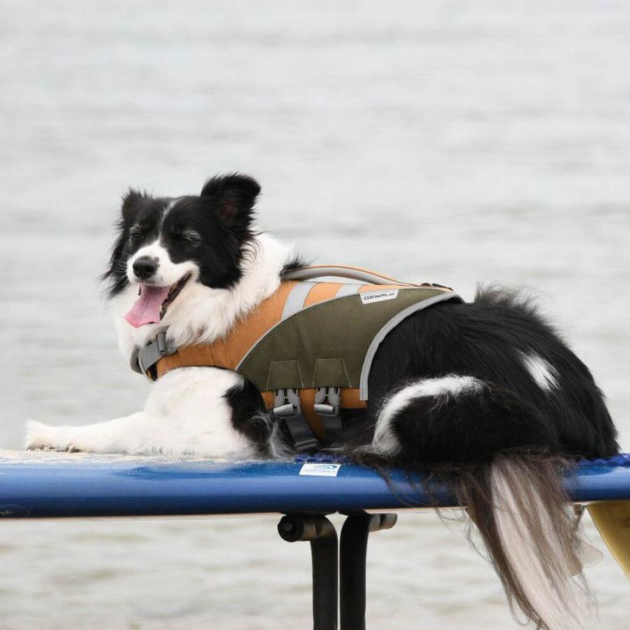 GEWALK ジウォーク ウェーブライダー ライフベスト Lサイズ カラー4色