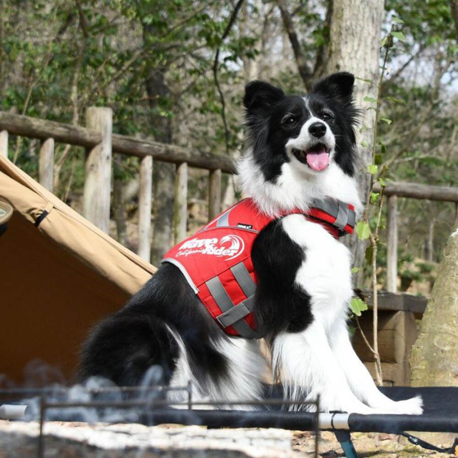 GEWALK ジウォーク ウェーブライダー ライフベスト Lサイズ カラー4色