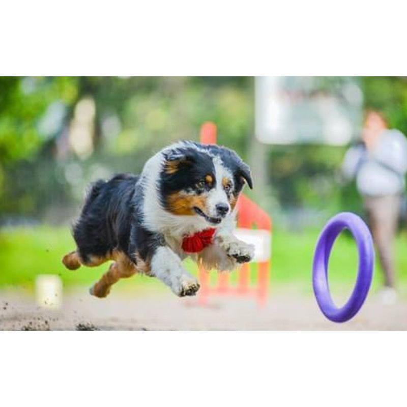 犬用　おもちゃ PULLER(プラー)　STANDARD (大) 2個1組 大・中型犬用 ボール ロープ フライングディスク｜starry｜04
