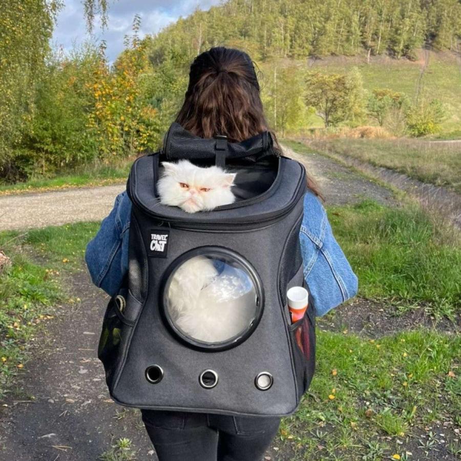 Travel CAT トラベルキャット 