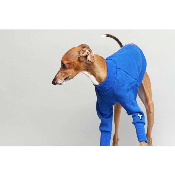 イタグレ　ウィペット　浴衣　GIRLS イタグレ ウィペット 浴衣 GIRLS 犬用品 イタグレ ウィペット