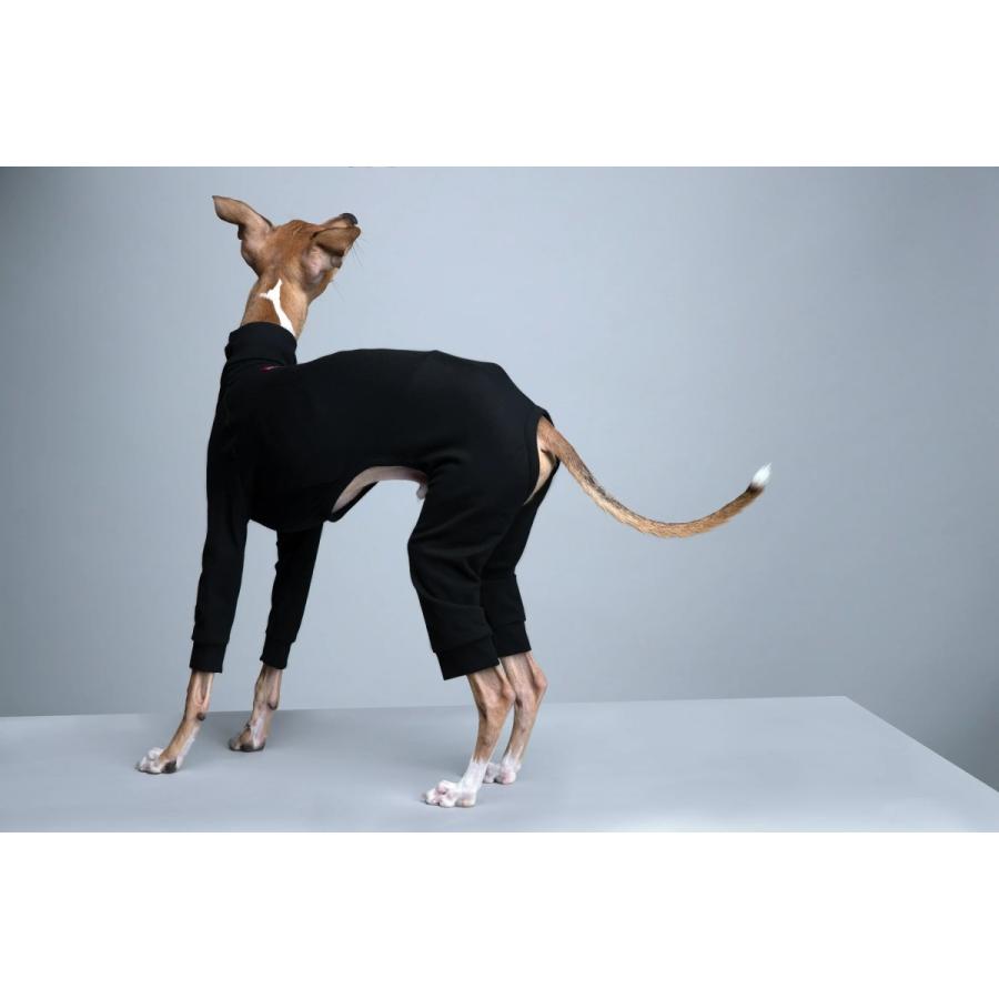 vemvem ヴェムヴェム スーツ フェイス：スピードスーツ/ネイビー イタリアングレーハウンド イタグレ ウィペット 犬 服 在庫限りで終了の画像