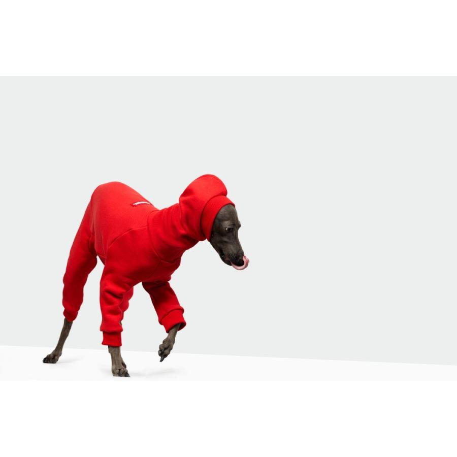 vemvem ヴェムヴェム スーツ フェイス：スピードスーツ/レッド イタリアングレーハウンド イタグレ ウィペット 犬 服 在庫限りで終了の画像