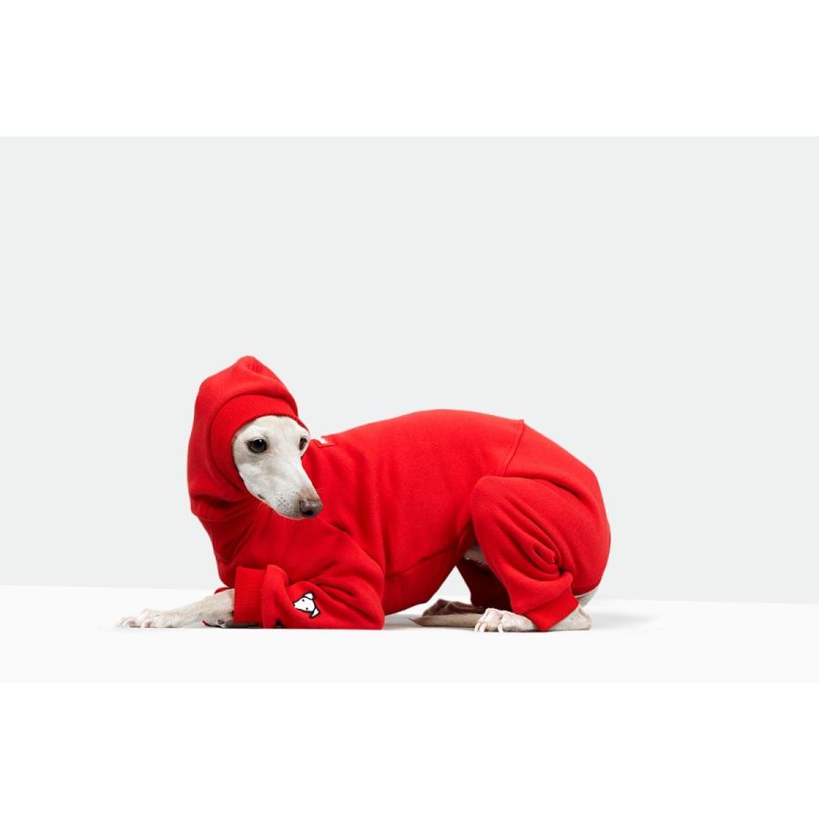 vemvem ヴェムヴェム スーツ フェイス：スピードスーツ/レッド イタリアングレーハウンド イタグレ ウィペット 犬 服 在庫限りで終了の画像
