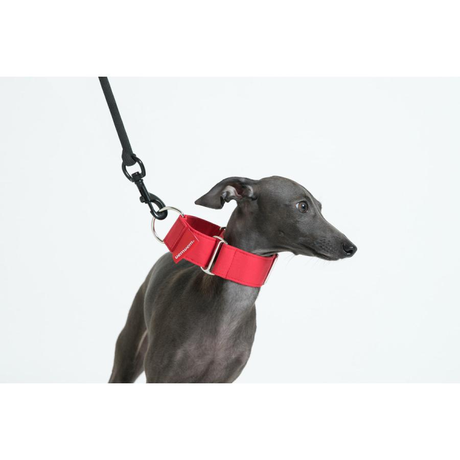 Vemvem ヴェムヴェム サークル フィールフリー レッド サイズl カラー 首輪 犬 イタリアングレーハウンド Vem1 002 Starry 通販 Yahoo ショッピング
