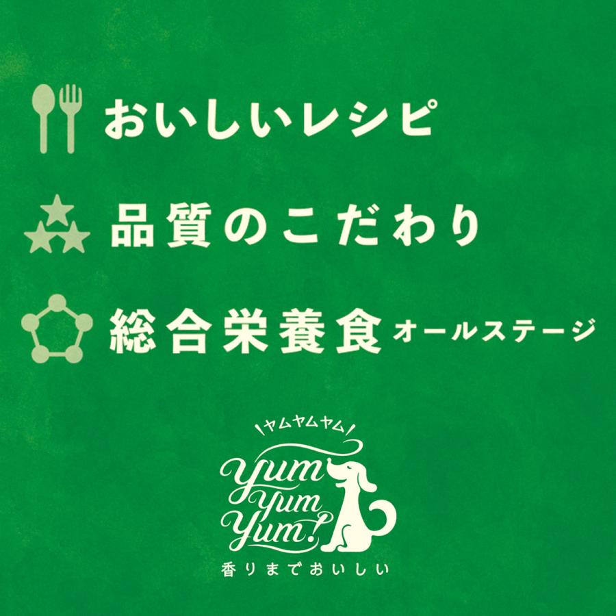 犬用 フード ヤムヤムヤム! YumYumYum! シニア&ライト チキン やわらかドライタイプ 小粒タイプ 400g（80g×5）国産｜starry｜10