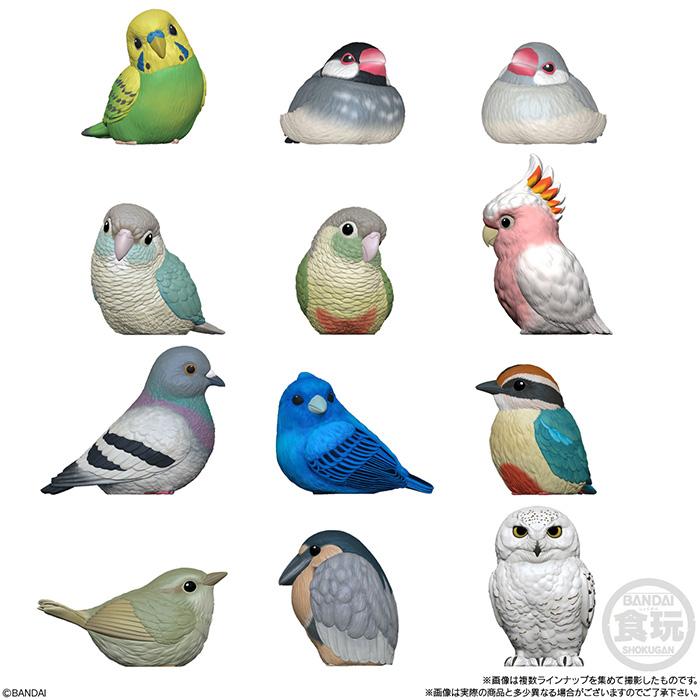 てのりフレンズ 鳥 フィギュア ソフビ 置き物 可愛い鳥たちを収録した食玩ソフビフィギュア「てのりフレンズ