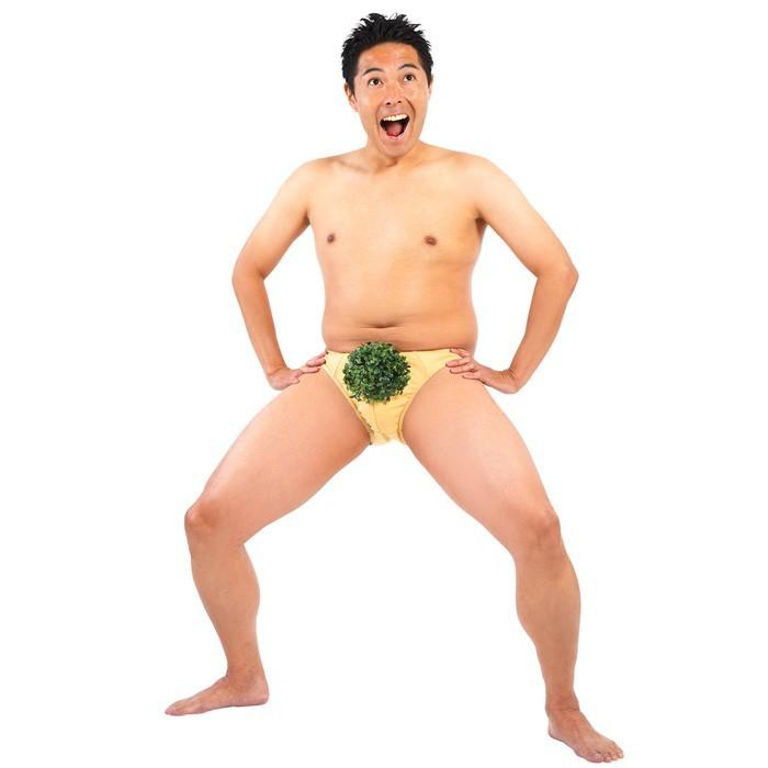 もじゃもじゃ葉っぱパンツ メンズコスプレ 葉っぱ パンツ 下着 男性用 面白い パーティーグッズ 盛り上げグッズ コスプレ 衣装 コスチューム ハロウィン 仮装|stars-y|04