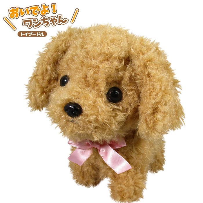 おいでよワンちゃん いぬ イヌ トイプードル ぬいぐるみ 人形 しゃべる