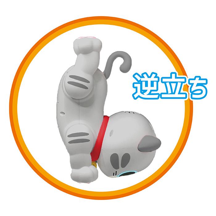 送料無料 ロボキャッティフレンドリーミィ Mie TKSK グレー アメリカン