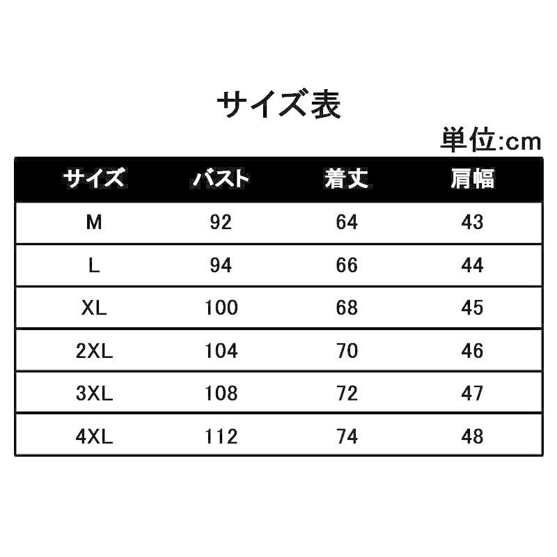 定休日以外毎日出荷中 トップス メンズ 脇汗対策 3l Ll L M カレッジt アメカジt ドライメッシュ素材 吸汗速乾 メンズ Tシャツ メンズファッション 夏 春 22 カットソー Tシャツ パーカー カラー Color1 Www We Job Com