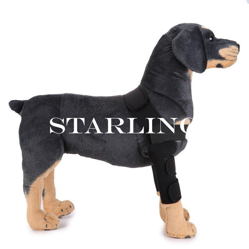 オンラインショップ サポーター ペット用 犬用 両足 傷舐め防止 前足 傷口保護 プロテクター 介護用品 シニア 老犬 ２足セット リハビリ サポート 床ずれ予防 冷え防 Ww Campusplacementgujarat In