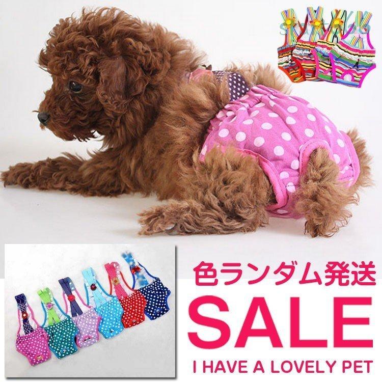 堅実な究極の マナーパンツ 犬用 女の子用 マナーウェア 犬用品 犬雑貨 ドッグウェア ペットウエア Shipsctc Org