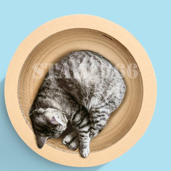 つめとぎ 猫用 爪とぎ 猫 爪研ぎ おしゃれ 爪とぎ防止 爪 爪みがき ネコの爪とぎ ダンボール 爪やすり 特価 爪磨き