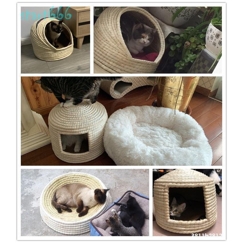 ラタン キャットハウス 猫ベッド ペット用ベッド テーブル 高さ33cm 奥行40cm クッションシート付き 幅50cm 全国宅配無料 強化ガラス天板